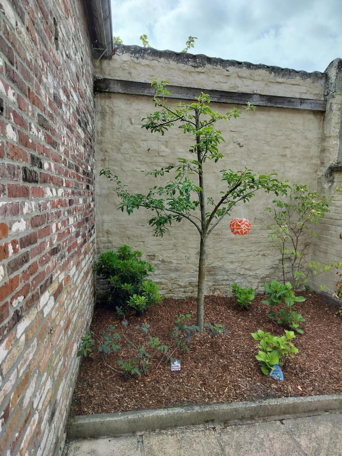 Holidayhouse Balie Brugge Bagian luar foto